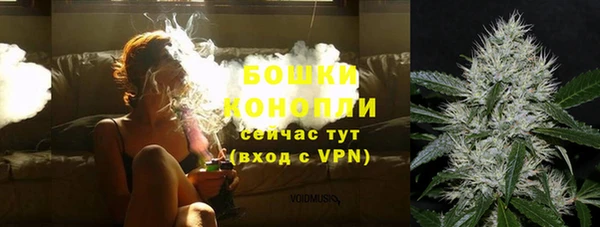 индика Бронницы