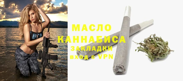 индика Бронницы