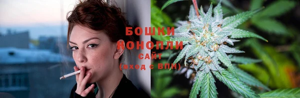 прущая мука Бородино