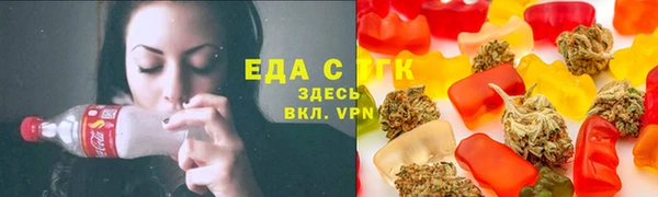 индика Бронницы
