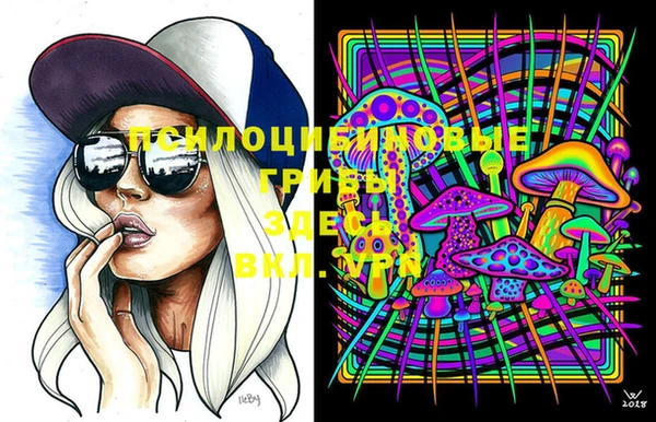 прущая мука Бородино