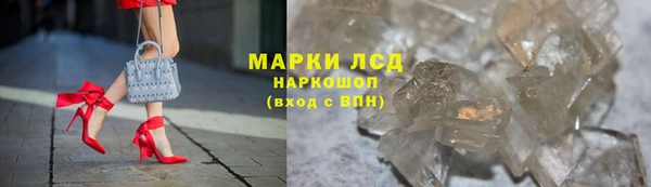 индика Бронницы