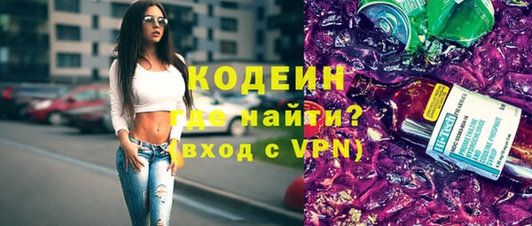 индика Бронницы