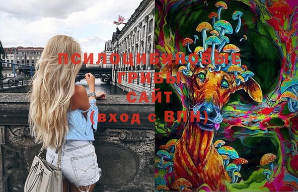 прущая мука Бородино