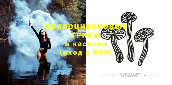 прущая мука Бородино