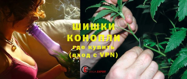 индика Бронницы