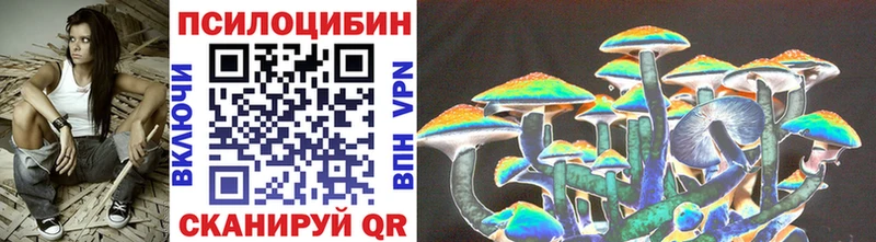 Псилоцибиновые грибы мицелий  Купить  Тайшет 